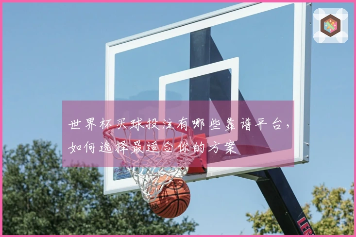 世界杯买球投注有哪些靠谱平台，如何选择最适合你的方案