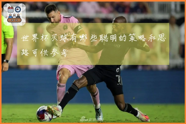 世界杯买球有哪些聪明的策略和思路可供参考