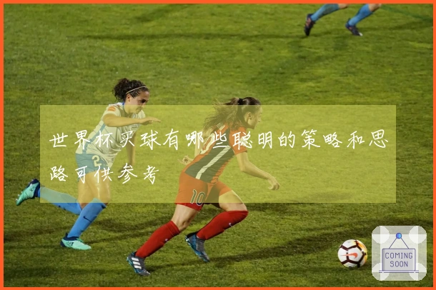 世界杯买球有哪些聪明的策略和思路可供参考