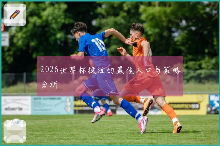2026世界杯投注的最佳入口与策略分析