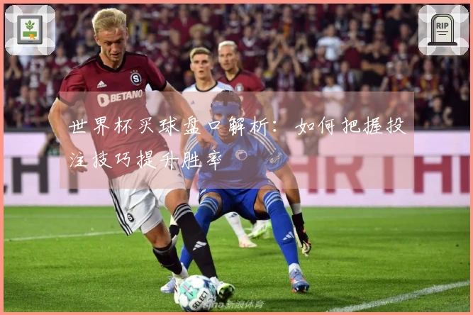 世界杯买球盘口解析:如何把握投注技巧提升胜率