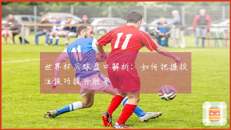 世界杯买球盘口解析：如何把握投注技巧提升胜率